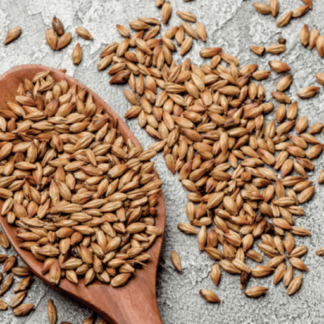 Coopers Premium Pilsner Malt